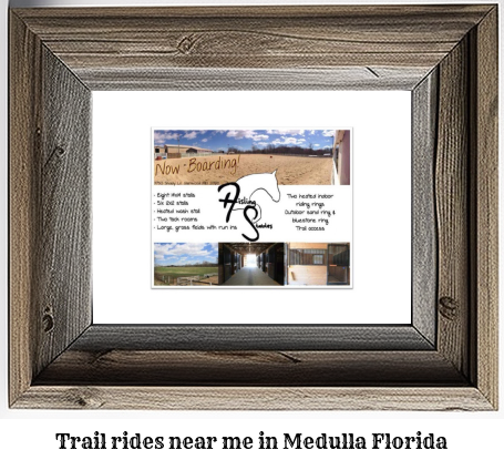 trail rides near me in Medulla, Florida